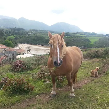 בית כפרי Casa Valle